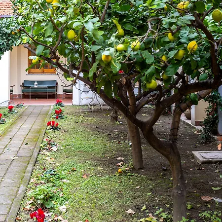 Hotel Palazzo Cappuccini Art Relais