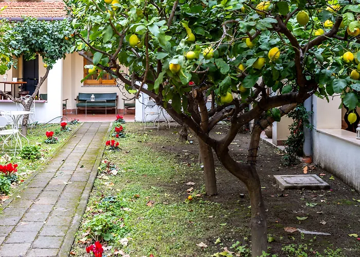 Hotel Palazzo Cappuccini Art Relais